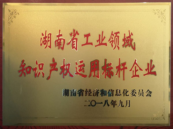 湖南省工業領域知識産權運用标杆企業